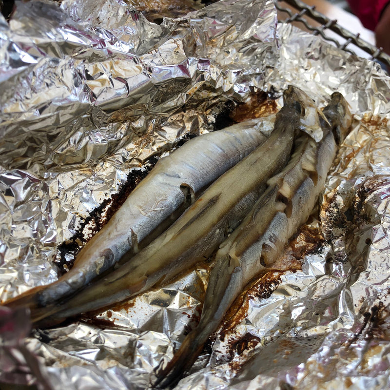 ししゃも(糸島 牡蠣小屋 服部屋)