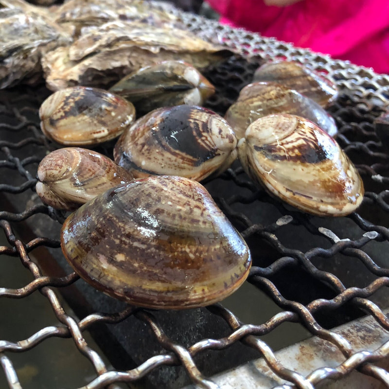 はまぐり(糸島 牡蠣小屋 服部屋)