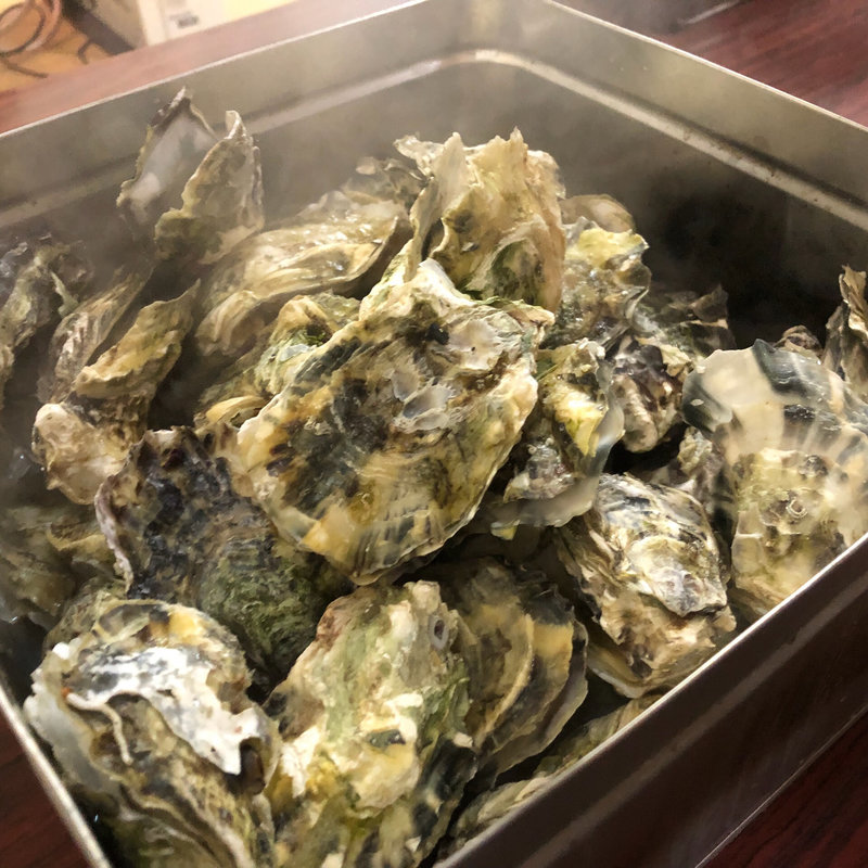 牡蠣のガンガン蒸し(大衆酒場えびす)