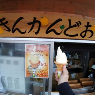 金柑ソフトクリーム(道の駅伊万里ふるさと村 )