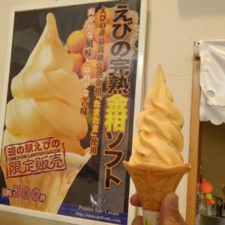 金柑ソフトクリーム(道の駅えびの )