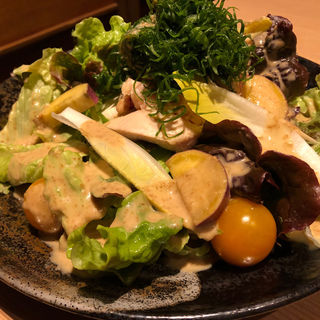 鶏とお豆腐のサラダ (地鶏個室居酒屋 有明 京橋店  )