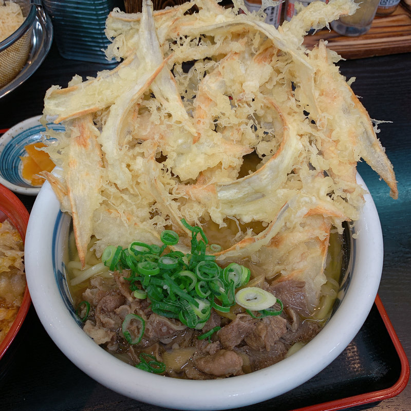 肉ごぼう天うどん(津田屋 官兵衛)
