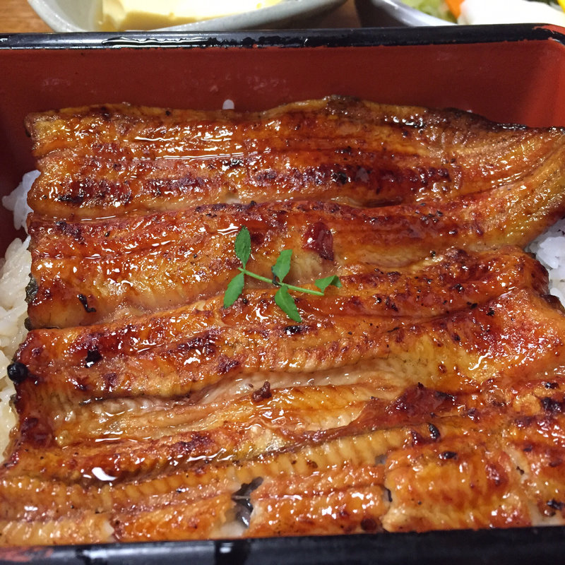 特上ニ段(新宿うな鐵 （うなてつ）)