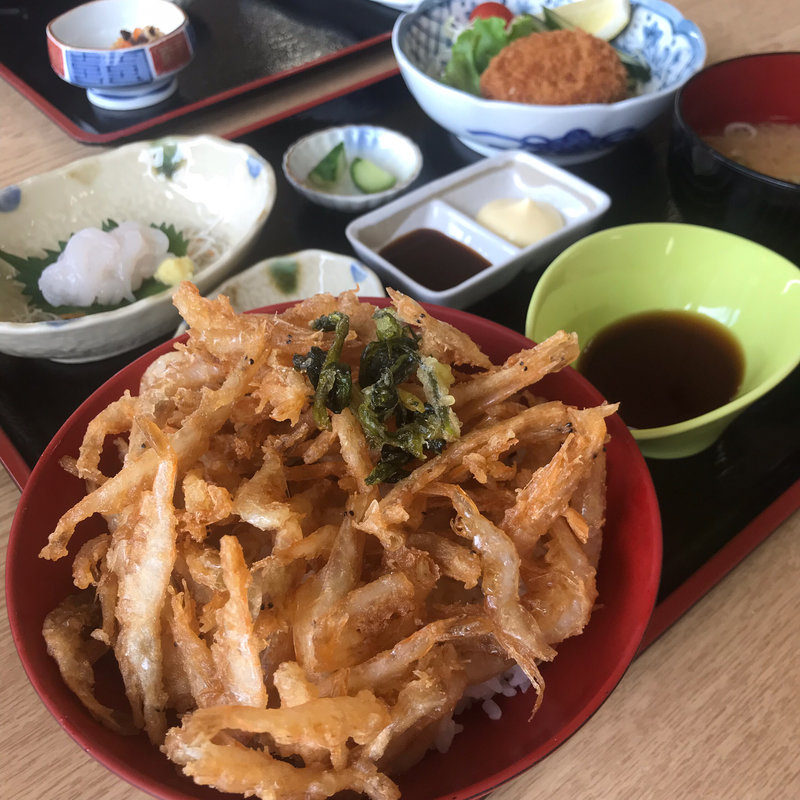 (新湊きっときと市場 )