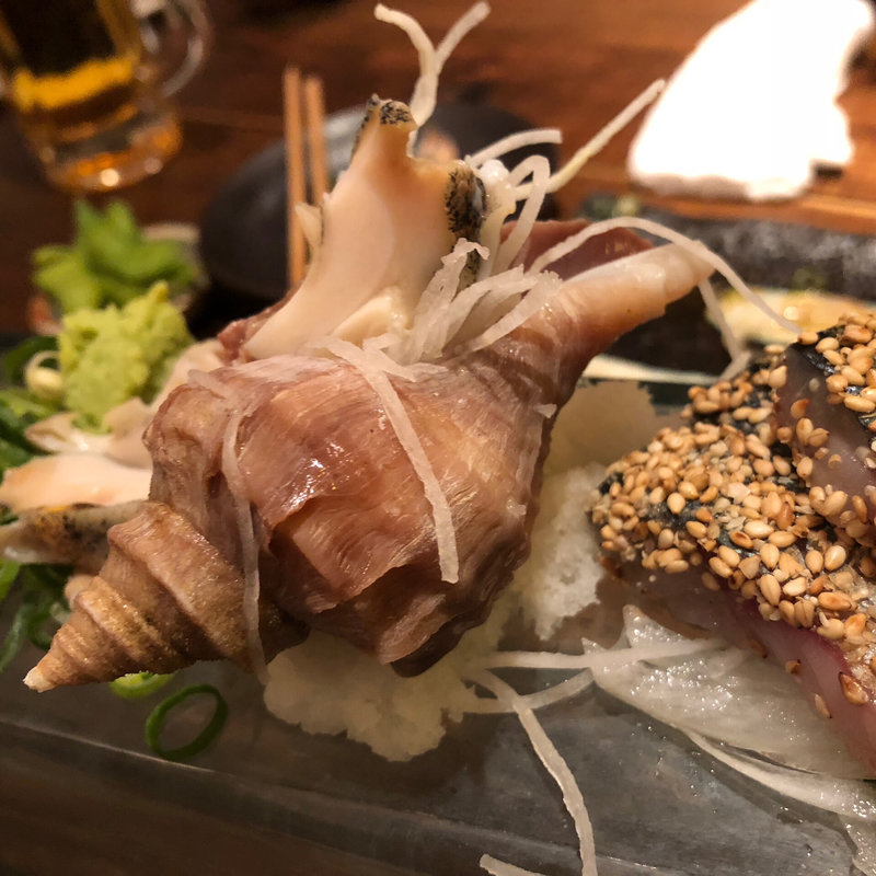 刺身（貝）(わらた)