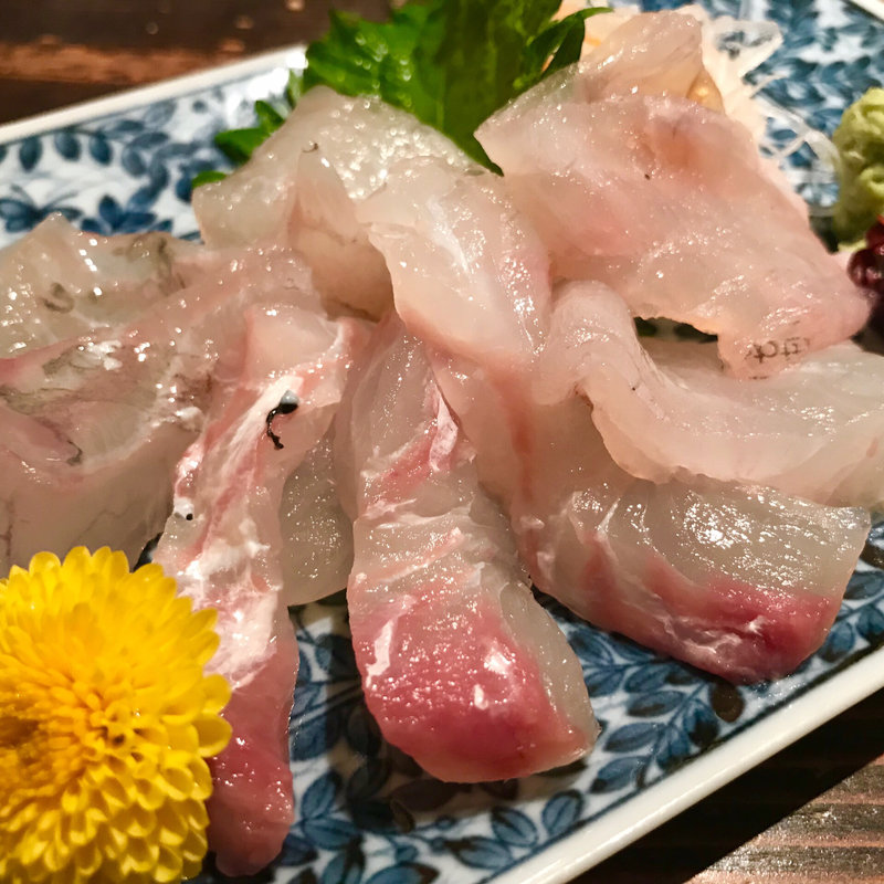 天然寒ヒラメ昆布〆(阿吽 )