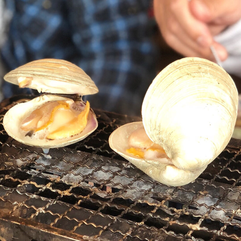 ハマグリ(磯丸水産 中洲国体道路店)