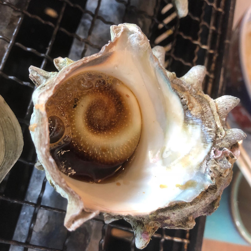 サザエ(磯丸水産 中洲国体道路店)