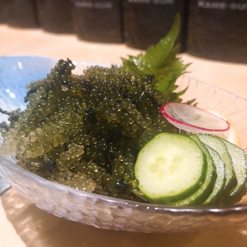 海ぶどう(KAME‐SUN （カメサン）)