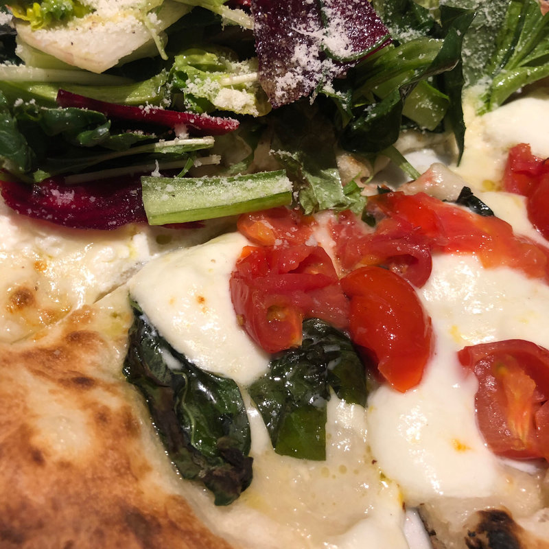 ドック(REGGIANO （レジャーノ）)