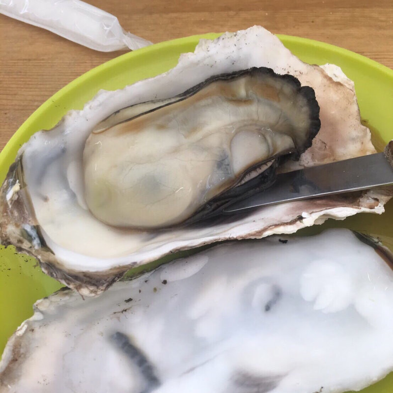 (かきハウス もっくん)