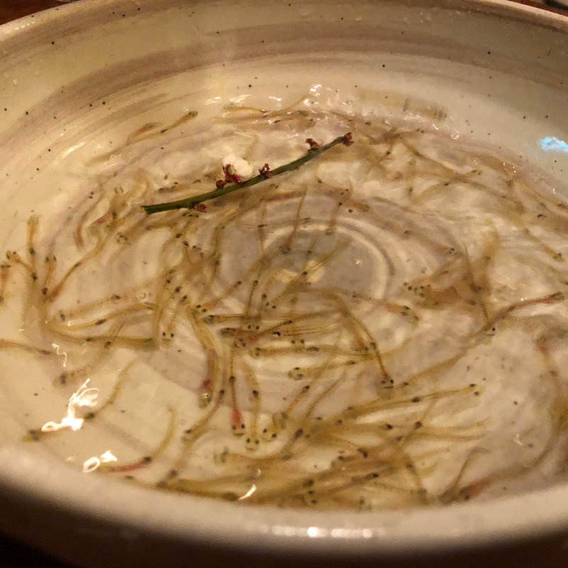 白魚の踊り食い(漁師館)