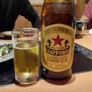 ビール(博多もつ鍋 前田屋 総本店)