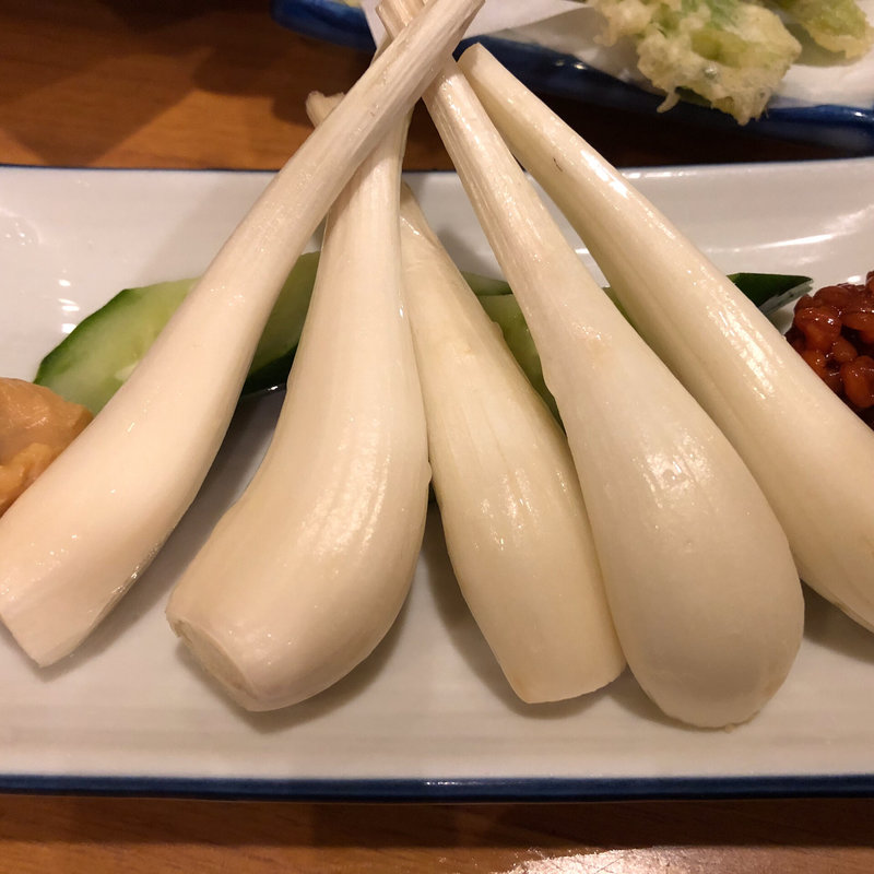 エシャロット(はるな )