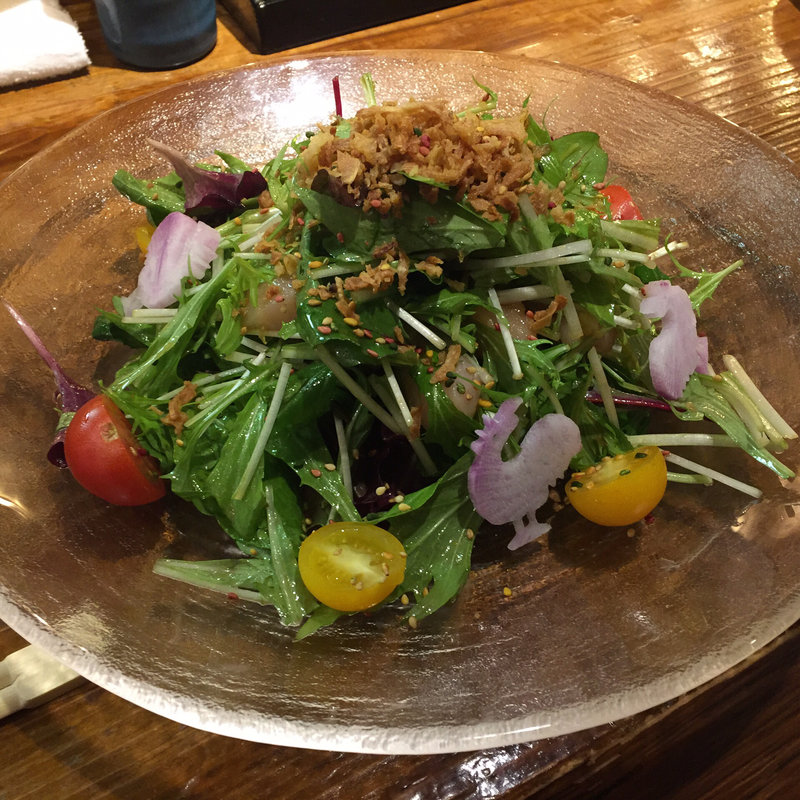 静音サラダ(静音 （シズネ）)