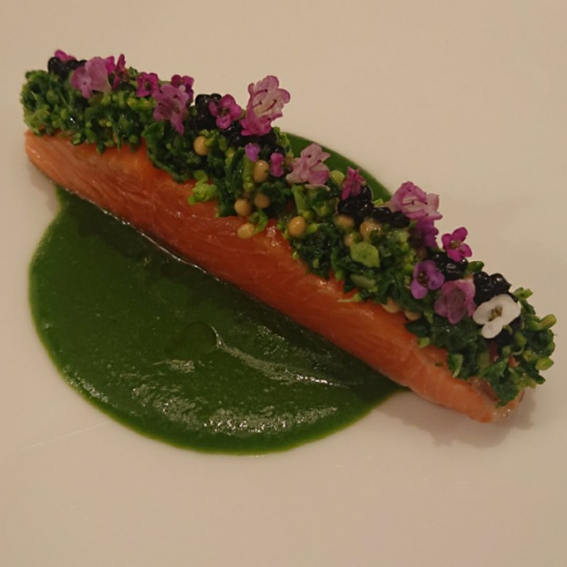 サクラマスのミキュイ(カノビアーノ・アネックス)