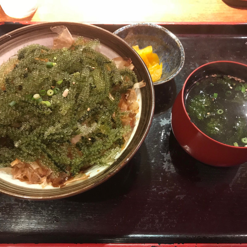 海ぶどう丼(みやらび)