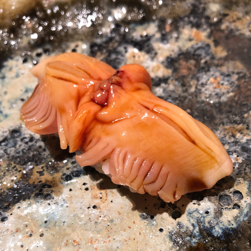 赤貝(鮨ふじわら)