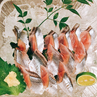 秋刀魚お造り(三豊 )