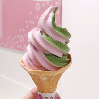さくら抹茶ソフトクリーム(京都福寿園)