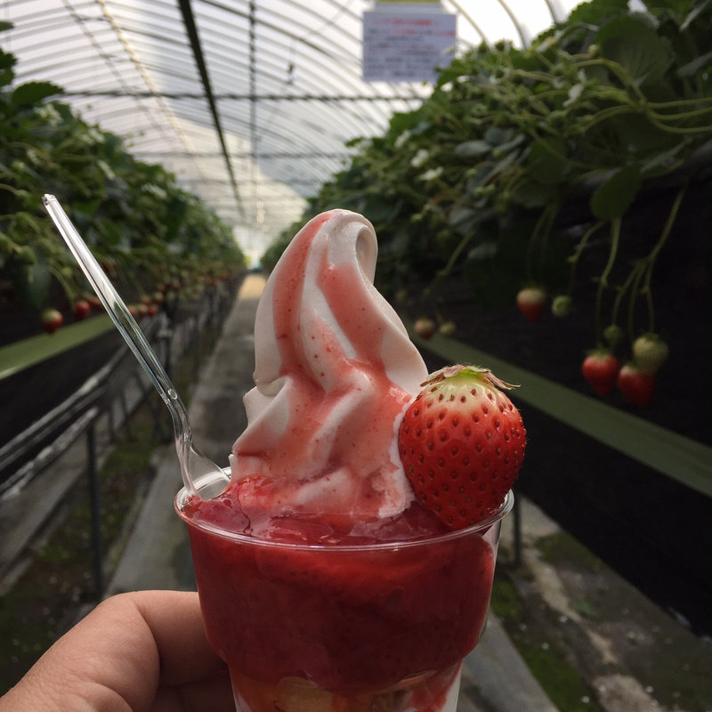いちごパフェ(いちご屋 スカイファーム )