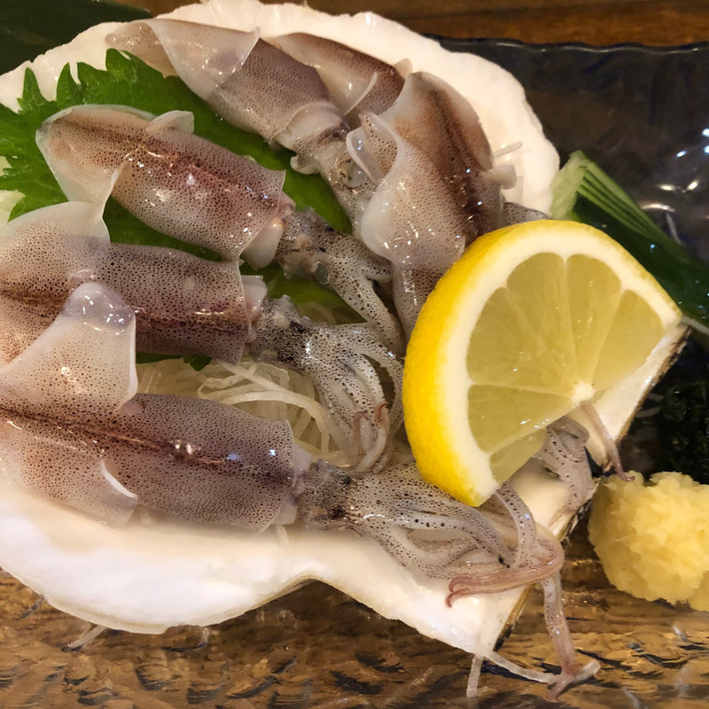 ホタルイカの刺身(湯浅 （ゆあさ）)