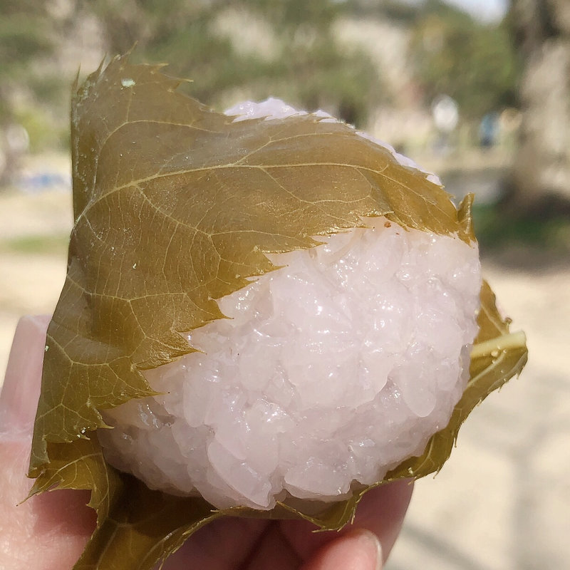 桜餅(大栄堂本舗ピオレ明石店)