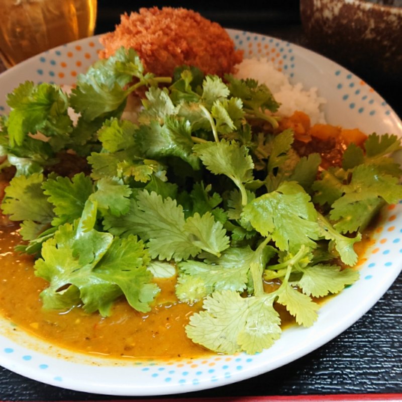 スパイシーカレー　メンチとパクチートッピング(MARUYA)