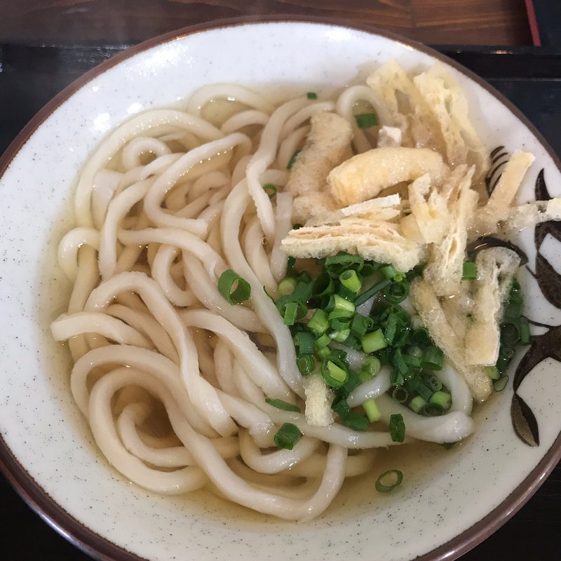 かけうどん(讃岐うどん河野 )