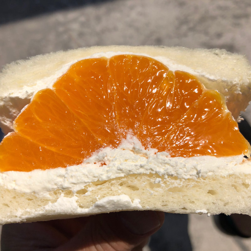 はっさく(フツウニフルウツ)