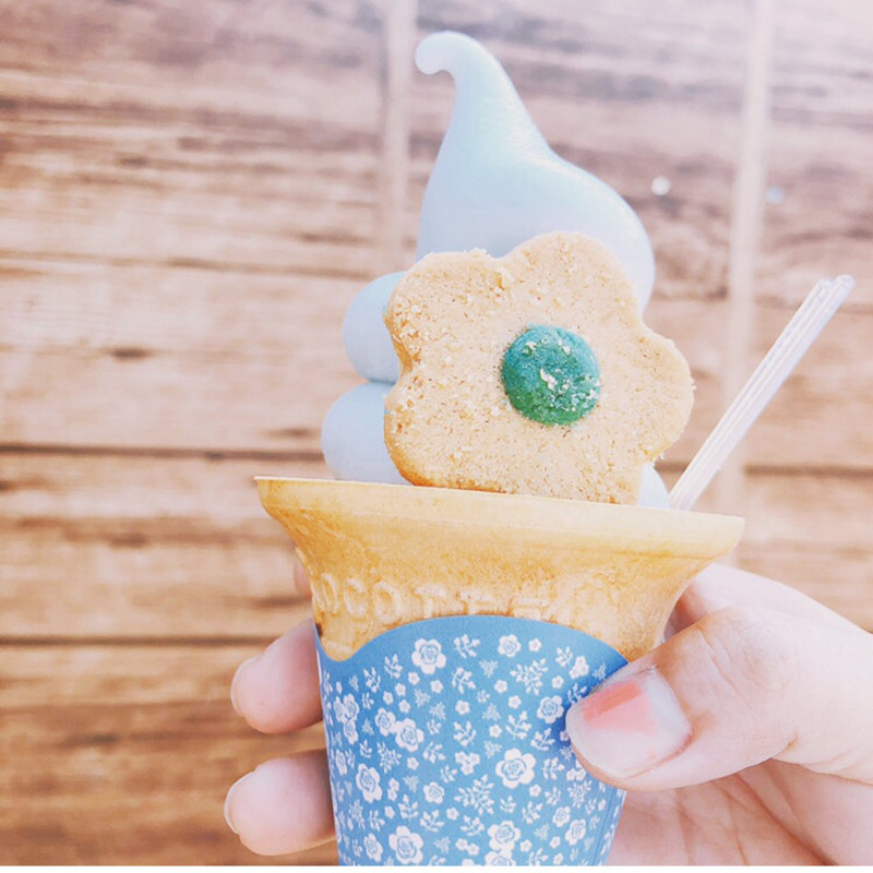 ネモフィラソフト(ひたち海浜公園中央口売店 )