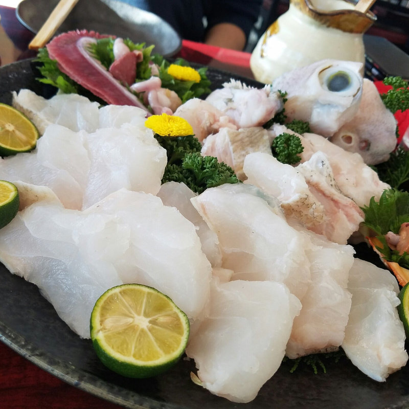 本クエフルコース(珊瑚礁 （さんごしょう）)