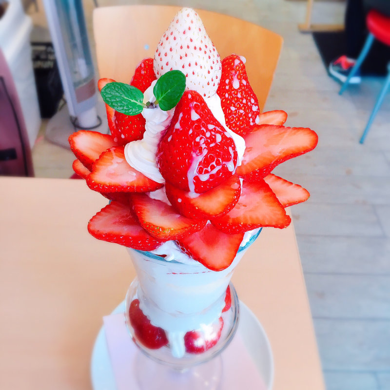 いちごのジャンボパフェ(ﾊﾟﾌｪとｸﾚｰﾌﾟのお店 ぶどうの木)