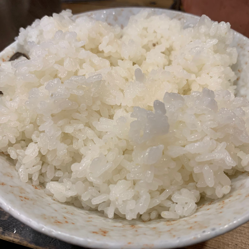 ライス大(東立石ホルモン 七りん半)