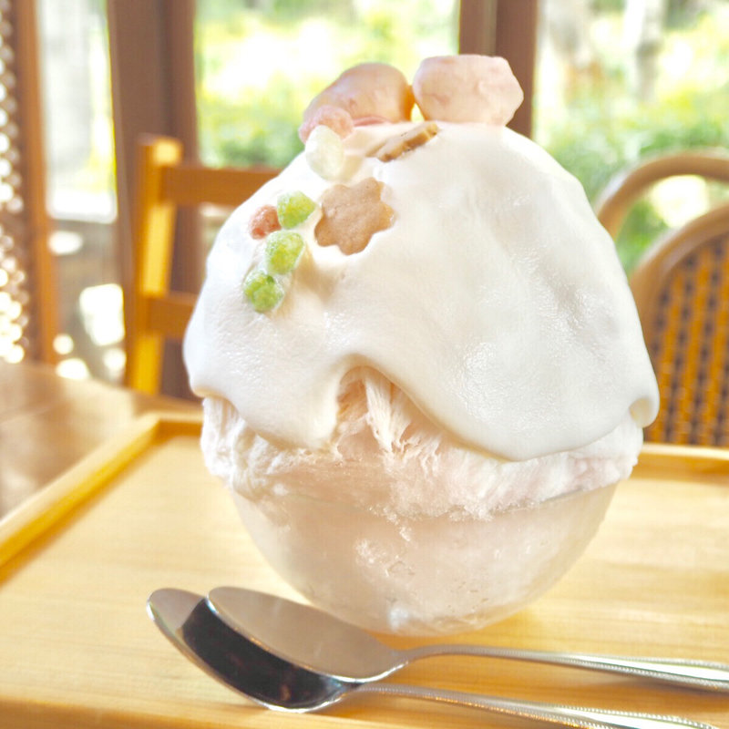 桜のかき氷(Ciao （チャオ）)