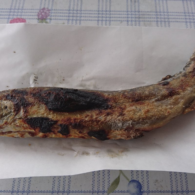 イワナの炭火焼き(あやラーメン)