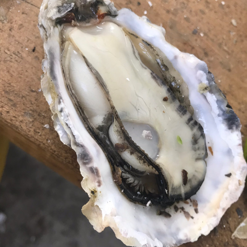 焼き牡蠣(牡蠣小屋 住吉丸 )