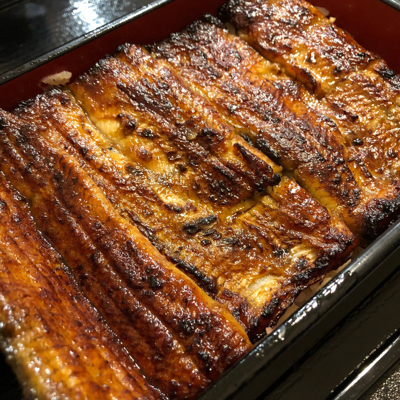 うな重(うなぎ新川 本店)