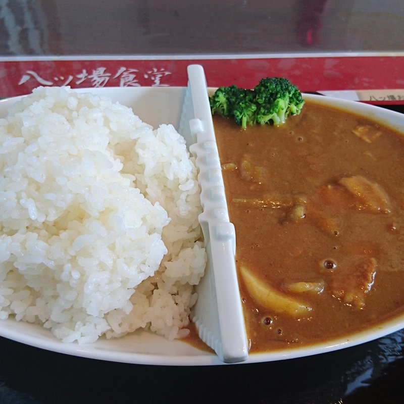 八ッ場ダムカレー(道の駅八ッ場ふるさと館 八ッ場食堂)