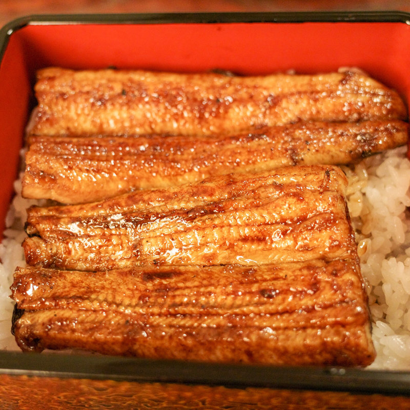 共水うなぎ　上うな重(うな正)