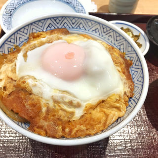 秋葉原駅周辺で食べられるおすすめのカツ丼30選 Sarah サラ