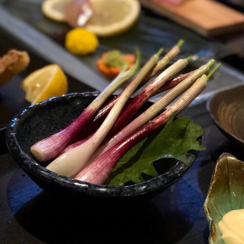 島らっきょ(博多 王道坊主)