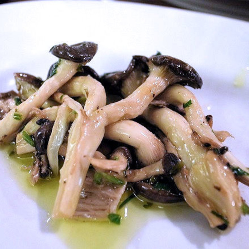 ヒラタケ(イル・バーカロ)