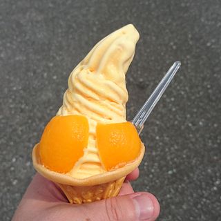 プレミアムびわアイスクリーム④(とみうらマート )