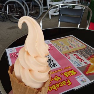 枇杷ソフトクリーム(はなまる市場 )