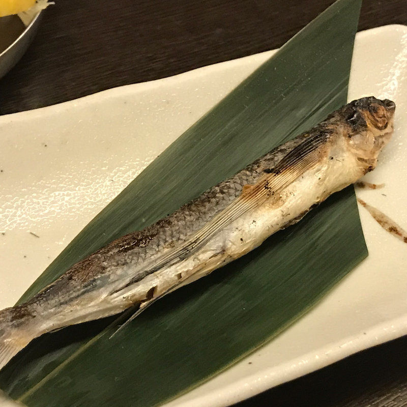あご丸干し(九州酒場 千日前店 )
