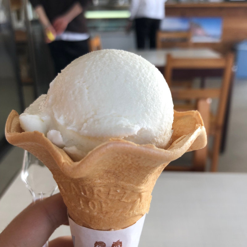 塩ジェラート(ぶらっとハウス)