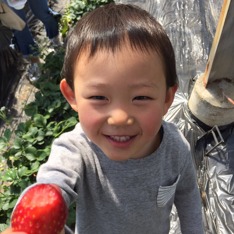 いちご(内田農園 )