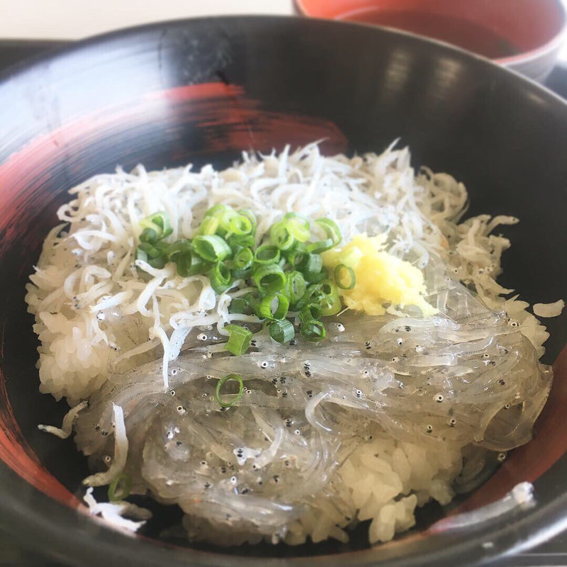 ハーフ丼(田子の浦港 漁協食堂 )